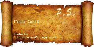Pess Solt névjegykártya